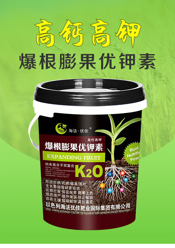 ���}��⛱��������(y��u)���-������(y��u)��_01