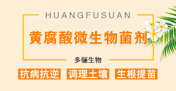 �~(y��)���}-���P����_01