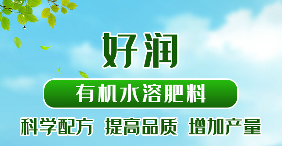 500g�ЙCˮ�ܷ���-�Ý�-��������_01