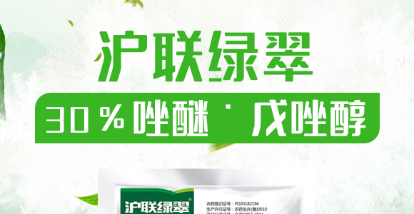 40%���ѡ�����-��(li��n)�G��-��(li��n)_01