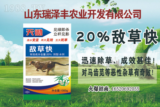 2021��1��9�Ք��ݿ���݄��r���Ӎ