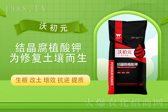 ⛷ʃr(ji��)��߀���q����10��22��⛷ʃr(ji��)������