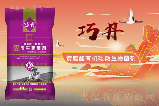 �����P(gu��n)ϵ�����A��ɽ�|�f��ȵ��m(x��)�s1988.TV��