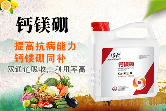 �����P(gu��n)ϵ�����A��ɽ�|�f��ȵ��m(x��)�s1988.TV��