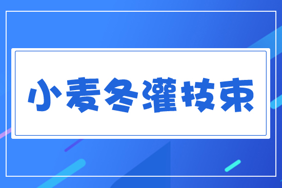 С�����༼�g