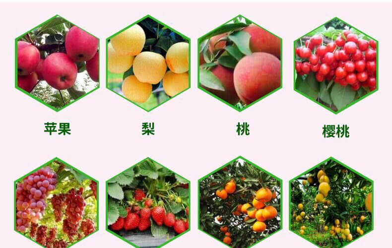 �~������-�n�-������_10