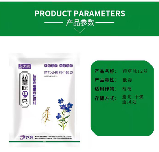 �۹����݄�-�۹����-�۹����-ˎ�ݳ�12̖(h��o)-���n2