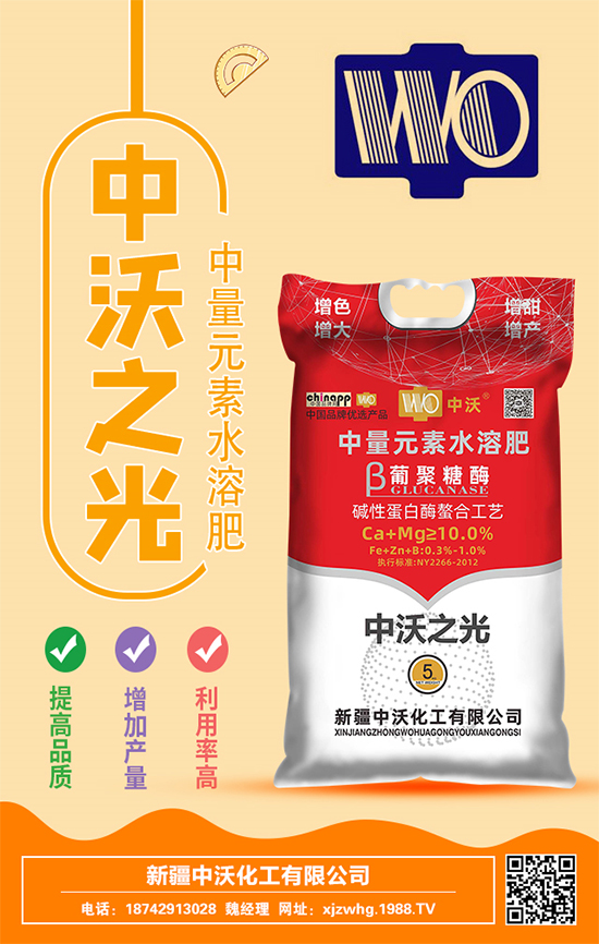 ���ֻ����m(x��)�s1988.TV���y���r(n��ng)���W(w��ng)�ل�(chu��ng)���x����