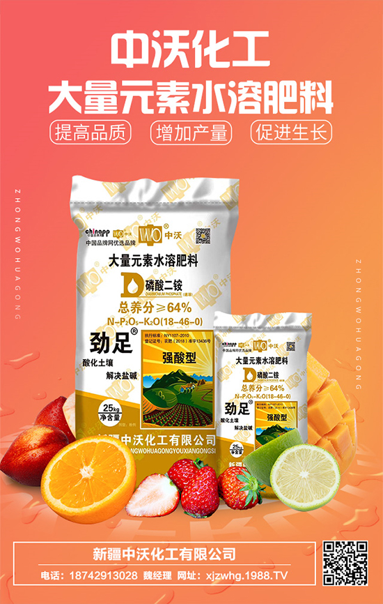 ���ֻ����m(x��)�s1988.TV���y���r(n��ng)���W(w��ng)�ل�(chu��ng)���x����