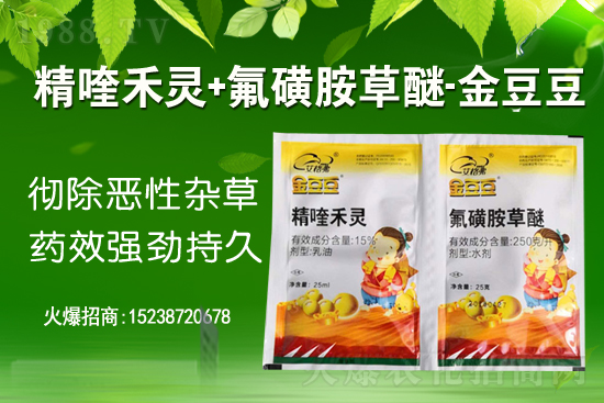 2021��2��5��Ȳ�������݄��r���߄�