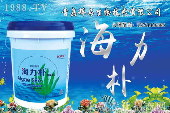 ѩ����r(ji��)������Xһ�ã�2021��Nֲѩ����ٍ�X����