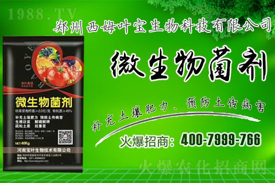 �����m��¶��������߲�Ʒ�N����Щ������Щ�Nֲע�������