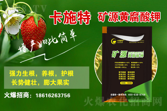 ���ջ����r(ji��)������X(qi��n)һ����2021��3��19�ջ����r(ji��)������