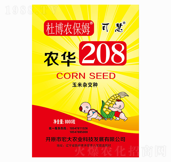 2021年玉米種子怎么選？2021年優(yōu)質(zhì)玉米種子推薦