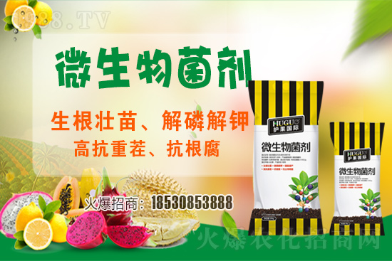 ��ݮ�����F(xi��n)���l���l(f��)������ҪԴ��ʲô������