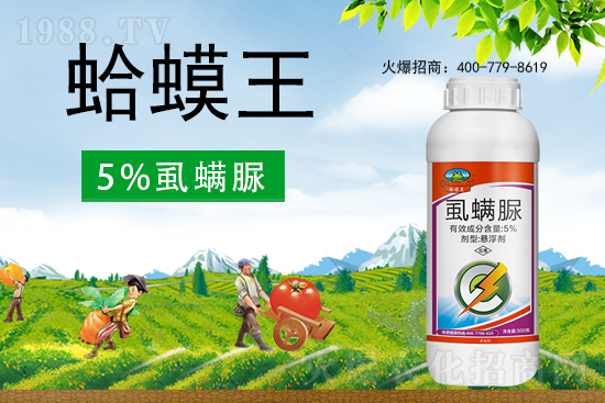 ʭ����������ô�������x���c(di��n)��ʲô��