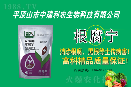 ��ƺ�������r(ji��)������2021��3��31��