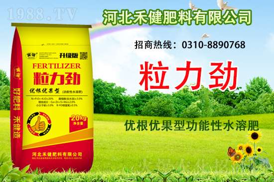 �����̙C(j��)���������A���ӱ��̽��ɹ����s1988.TV������(chu��ng)����������