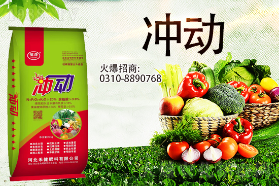 �����̙C(j��)���������A���ӱ��̽��ɹ����s1988.TV������(chu��ng)����������