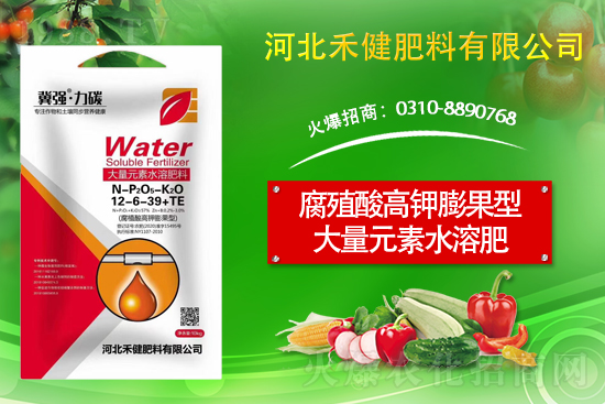 �����̙C(j��)���������A���ӱ��̽��ɹ����s1988.TV������(chu��ng)����������