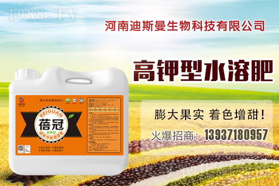 ���ϵ�˹���ٺ�1988.TV���y�ֹ��M(j��n)���T�����x����