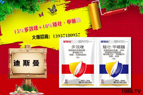 ���ϵ�˹���ٺ�1988.TV���y�ֹ��M(j��n)���T�����x�ͣ�