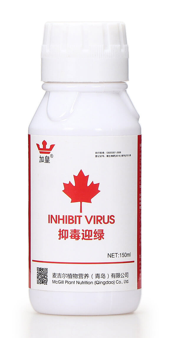 �ֶ�ӭ�G�����β������� �G��5