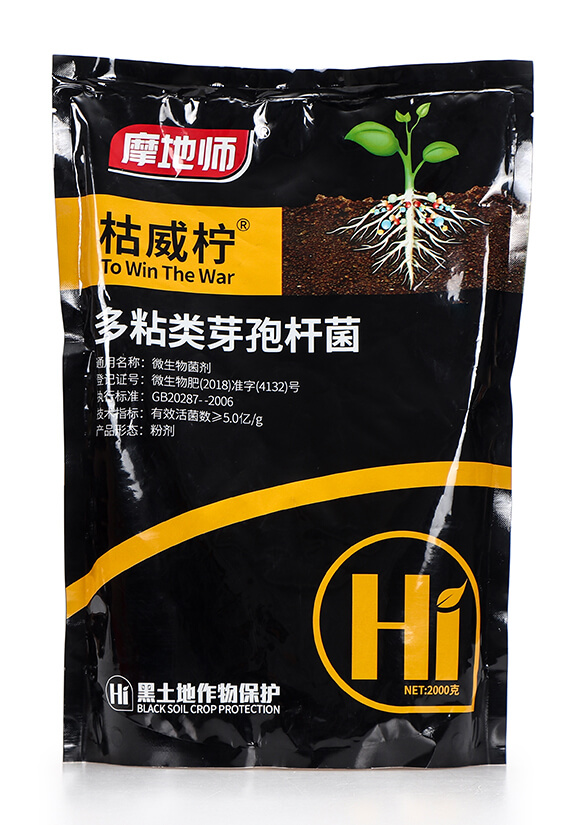 ��ճ�ѿ�ߗU�� ������ Ħ�؎�4