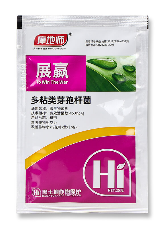 多粘類(lèi)芽孢桿菌-展嬴-摩地師4