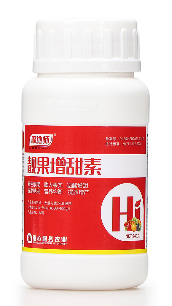 240���n�������� Ħ�؎�5