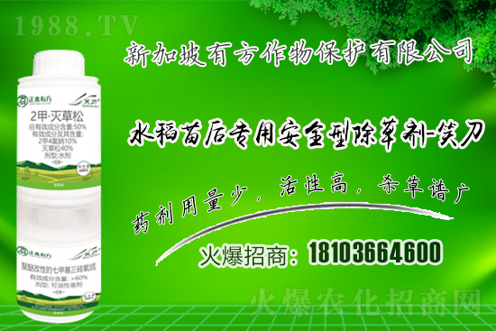 ���݄�ԭˎ�r������2021.4.27