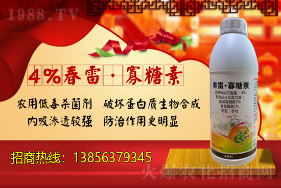 ���r(n��ng)���W(w��ng)ϲӭ���������y�������r(n��ng)�I(y��)����ؔ��֮·��