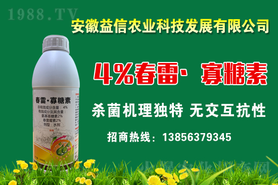 ���r(n��ng)���W(w��ng)ϲӭ���������y�������r(n��ng)�I(y��)����ؔ��֮·��