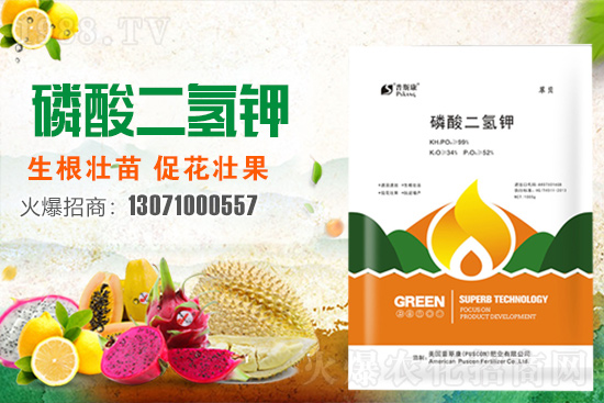 ��(zh��n)�Ժ���������(j��)����˹���ʘI(y��)�y��1988.TV�ل�(chu��ng)�x����