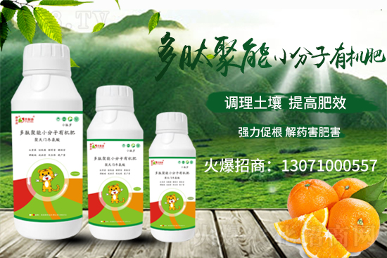 ��(zh��n)�Ժ���������(j��)����˹���ʘI(y��)�y��1988.TV�ل�(chu��ng)�x����