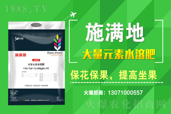 ��(zh��n)�Ժ���������(j��)����˹���ʘI(y��)�y��1988.TV�ل�(chu��ng)�x����