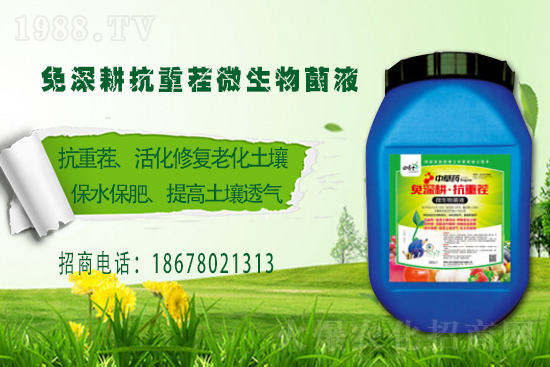 �����P(gu��n)ϵ�����A���ﲩʿ���F(tu��n)�m(x��)�s1988.TV�����\�����°l(f��)չ��