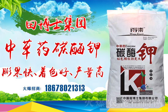 �����P(gu��n)ϵ�����A���ﲩʿ���F(tu��n)�m(x��)�s1988.TV�����\�����°l(f��)չ��