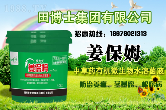 �����P(gu��n)ϵ�����A���ﲩʿ���F(tu��n)�m(x��)�s1988.TV�����\�����°l(f��)չ��