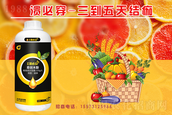 �����P(gu��n)ϵ�����A�����ý������ٺ�1988.TV������(chu��ng)���x����