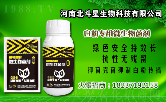 2021年5月24日番茄殺菌劑價(jià)格走勢(shì)