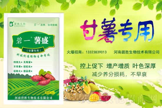 ���r(n��ng)���W(w��ng)ϲӭ���������y�ֱ̄����ﹲ��ؔ(c��i)��֮·��