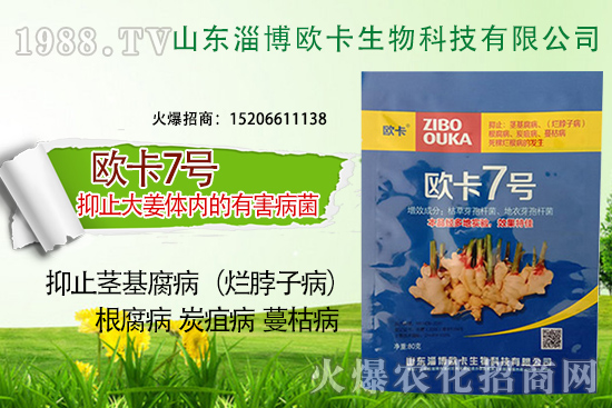 �W�������ٺ�1988.TV������(sh��)�F(xi��n)��I(y��)�v�w��(m��ng)��