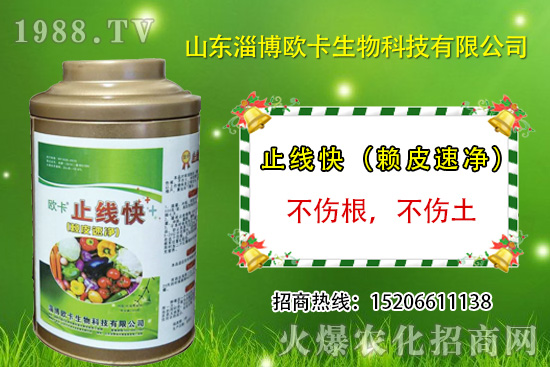 �W�������ٺ�1988.TV������(sh��)�F(xi��n)��I(y��)�v�w��(m��ng)��