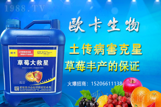 �W�������ٺ�1988.TV������(sh��)�F(xi��n)��I(y��)�v�w��(m��ng)��