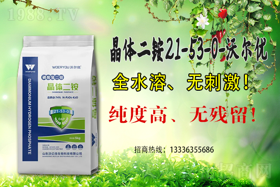 ���@�߃r(ji��)�����ڇ�(gu��)��(n��i)���@�r(ji��)��������?q��ng)?b��o)��6��15��