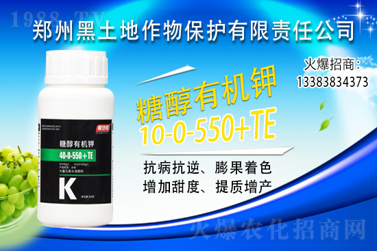 ⛷ʃr(ji��)���j��500Ԫ/����2021��6��15��⛷ʃr(ji��)������