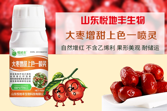 �����S����