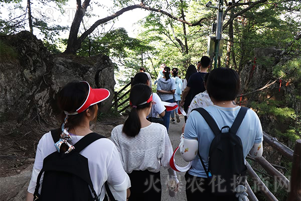 �ʵǸ߷�����ֹ������