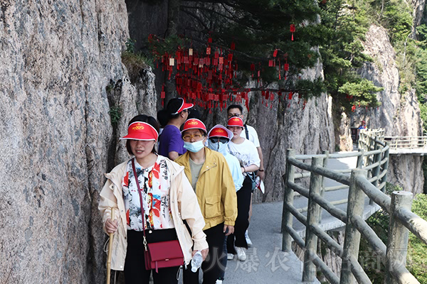 以道御術(shù),大道至簡
